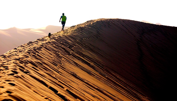 12 Namib Desert