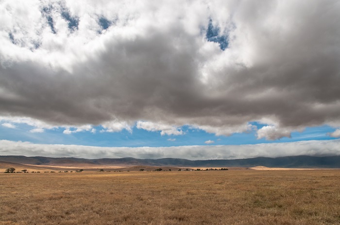 3 Ngorongoro