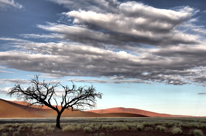 8 Namib Desert