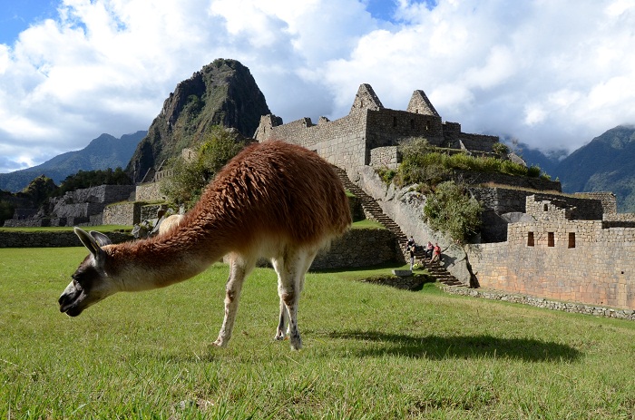 10 Machu Picchu