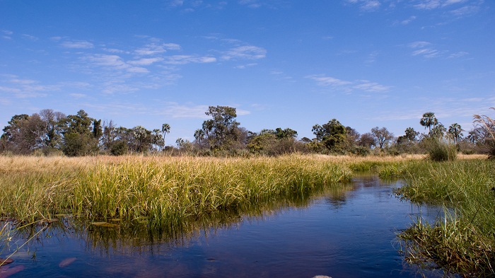 5 Okavango