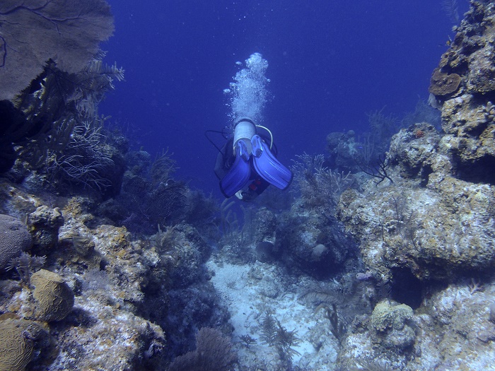 1 Belize Sinkhole