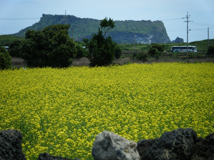 10 Jeju