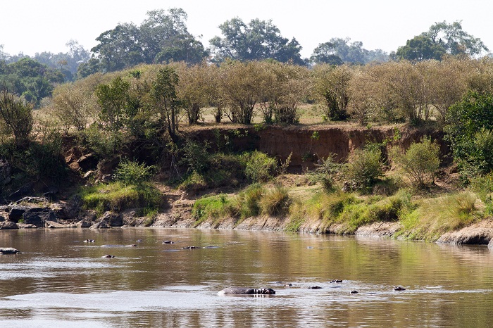 15 Maasai Mara