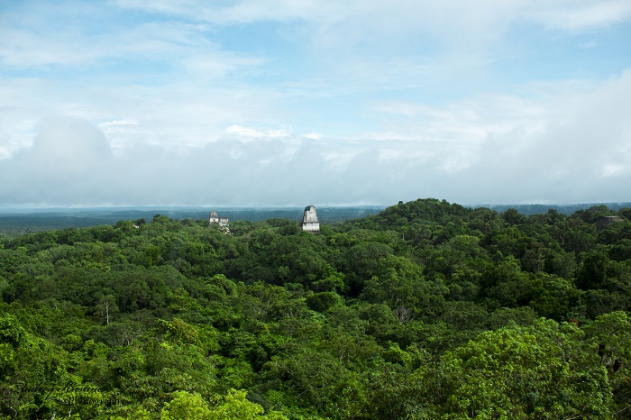 4 Tikal