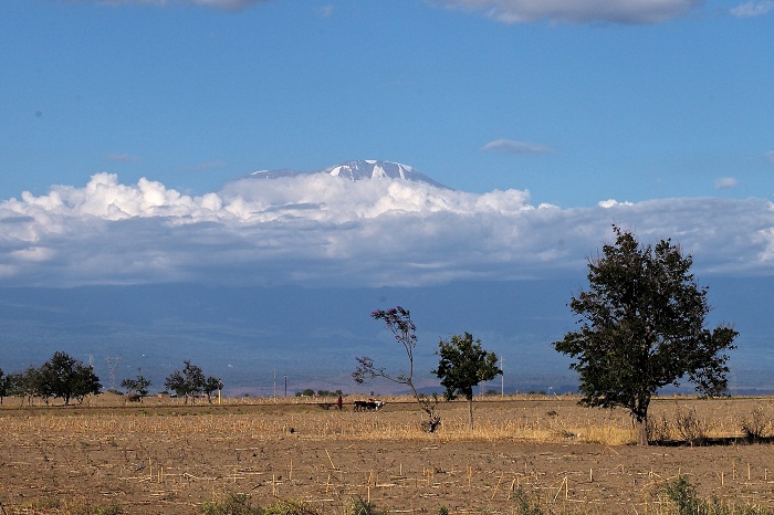 3 Kilimanjaro