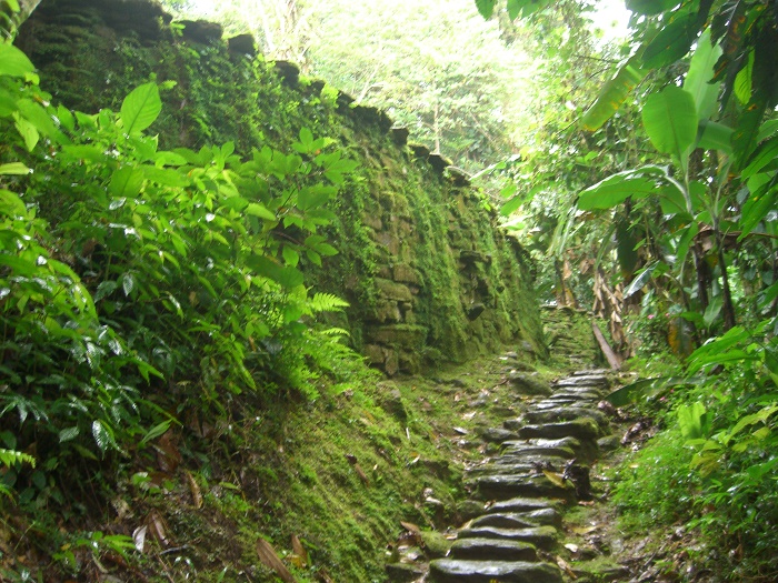 8 Ciudad Perdida