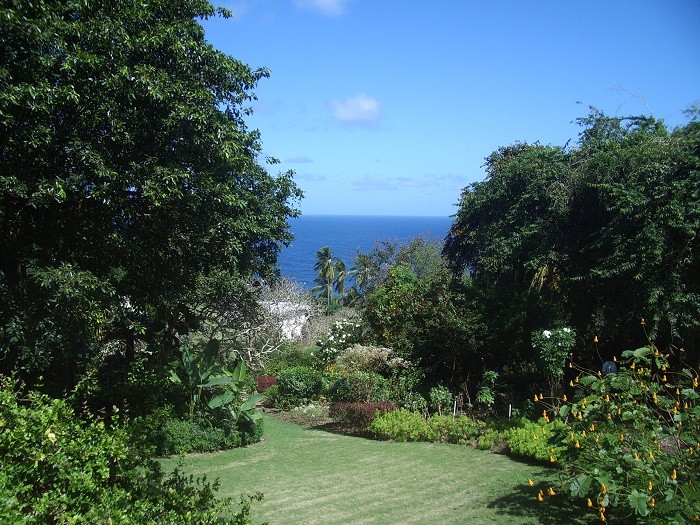 3 Andromeda Barbados