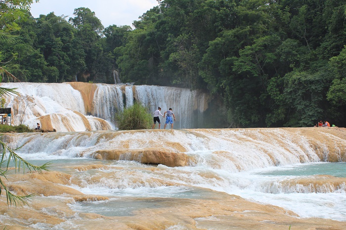 4 Agua Azul M