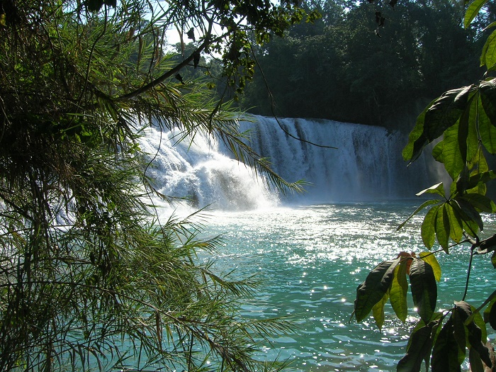 5 Agua Azul M