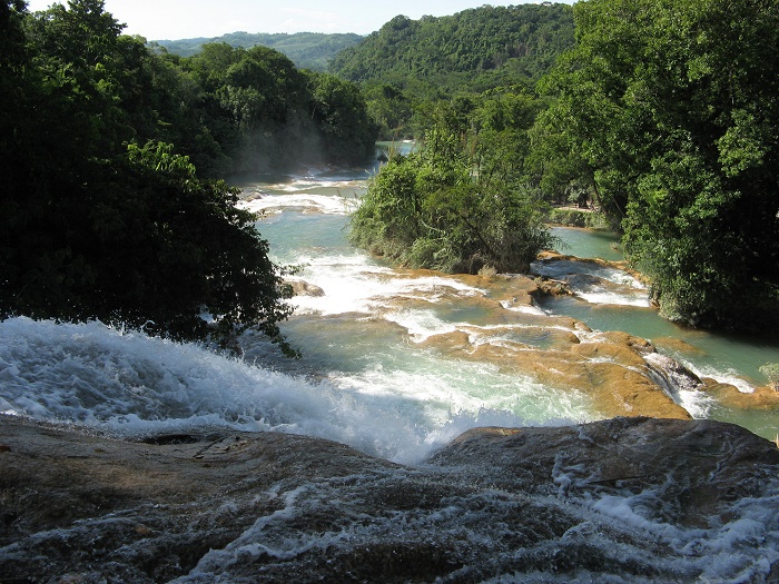 7 Agua Azul M