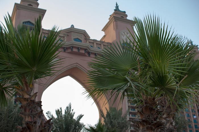 5 Atlantis Palm