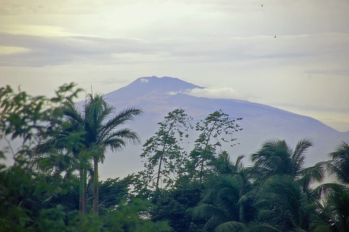1 Mount Cameroon