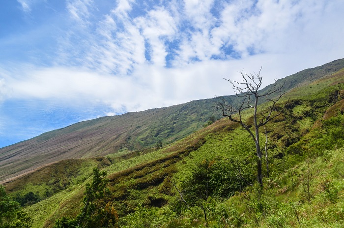 3 Mount Cameroon