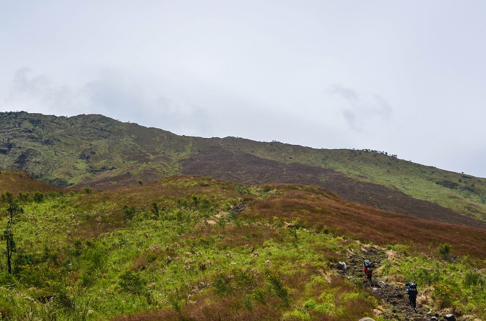 6 Mount Cameroon