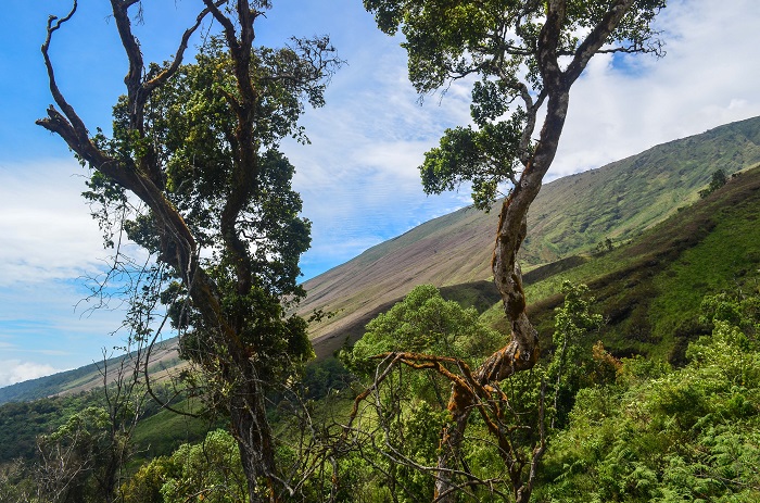 7 Mount Cameroon