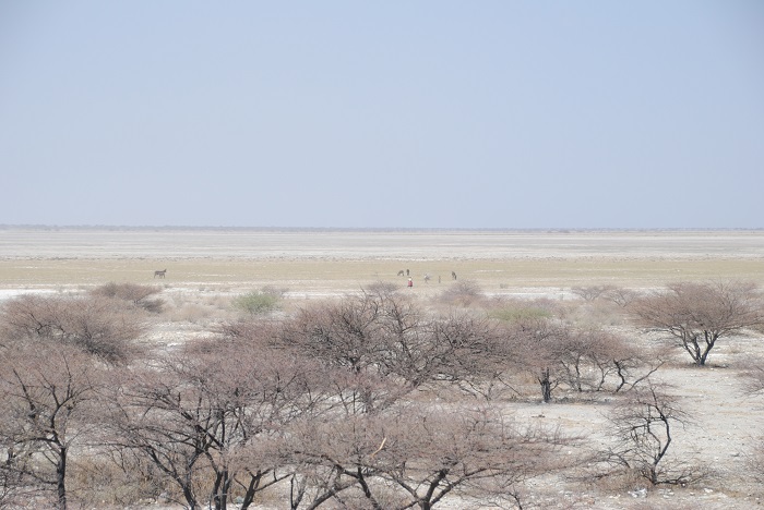 1 Makgadikgadi