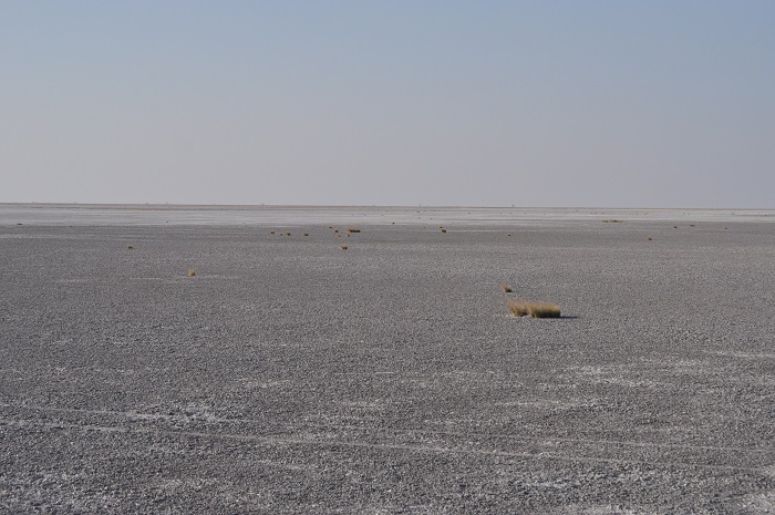 6 Makgadikgadi