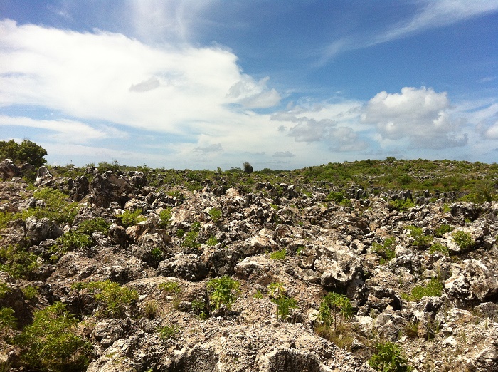8 Nauru Mines