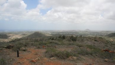 1 Jamanota Aruba
