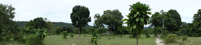 8 Koh Rong