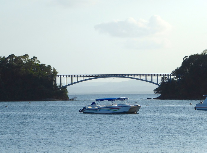 10 Samana Puentes