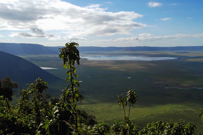 1 Ngorongoro
