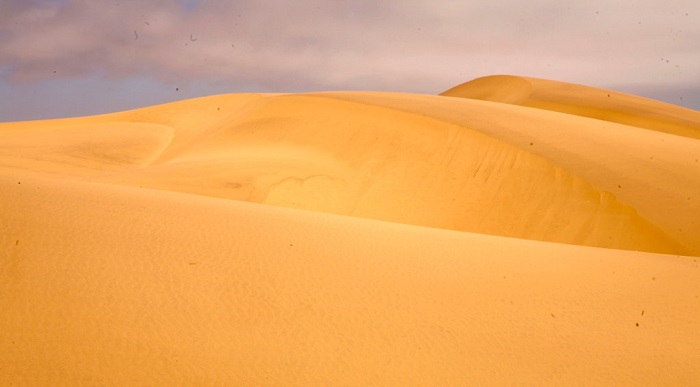 13 Namib Desert