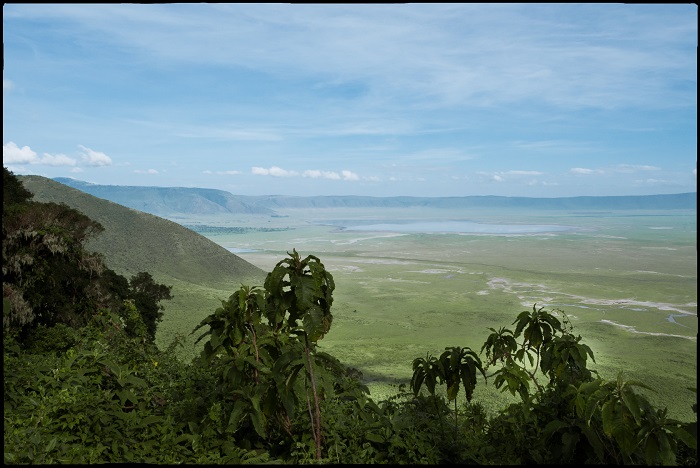 2 Ngorongoro