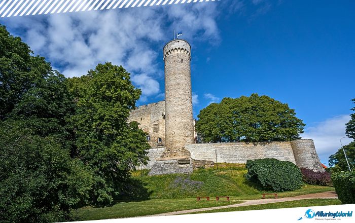 2 Tall Hermann Tower