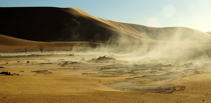 21 Namib Desert