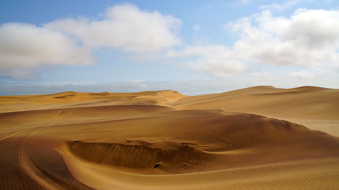 24 Namib Desert