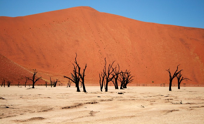 3 Namib Desert