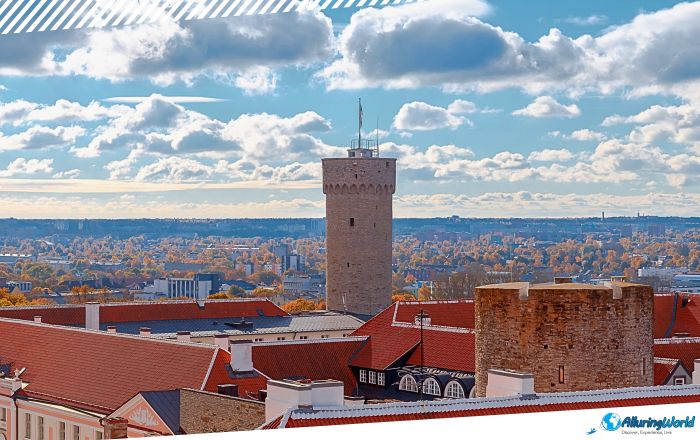 3 Tall Hermann Tower