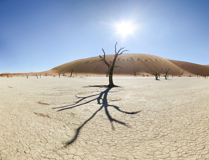 4 Namib Desert