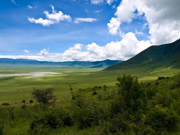 4 Ngorongoro