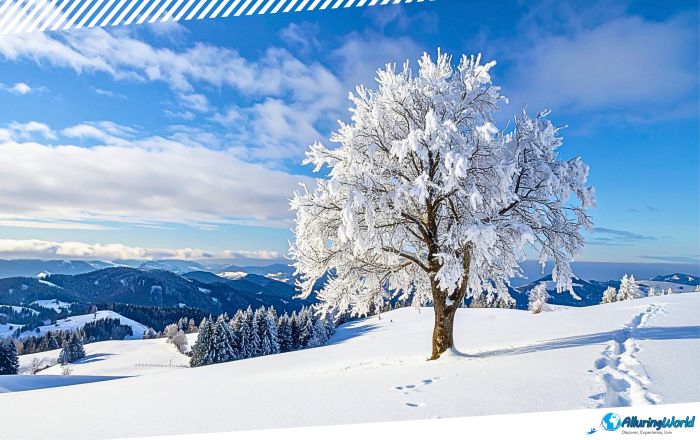 4 Orlické Mountains