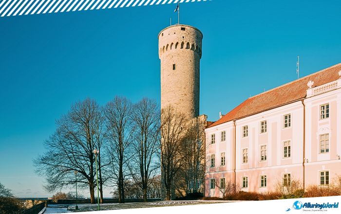 4 Tall Hermann Tower