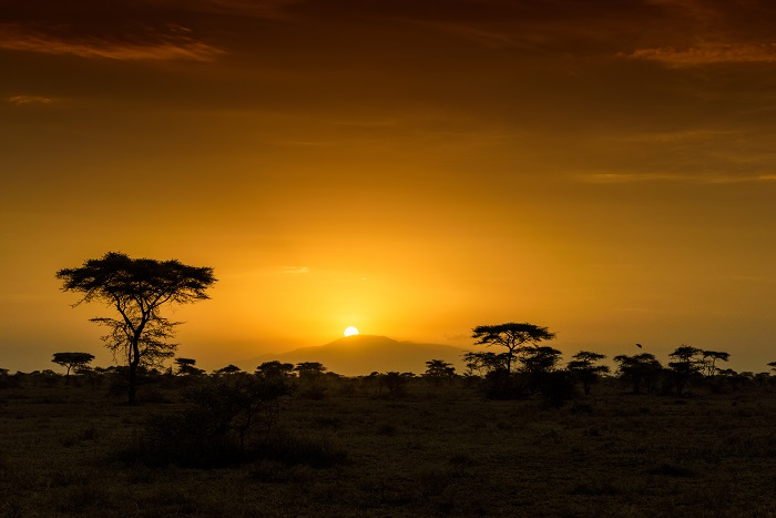 5 Ngorongoro