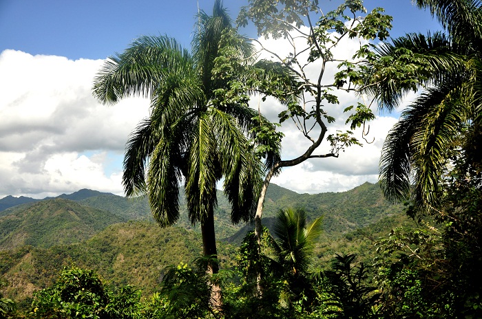 5 Sierra Maestra