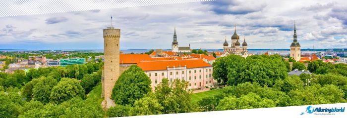 5 Tall Hermann Tower