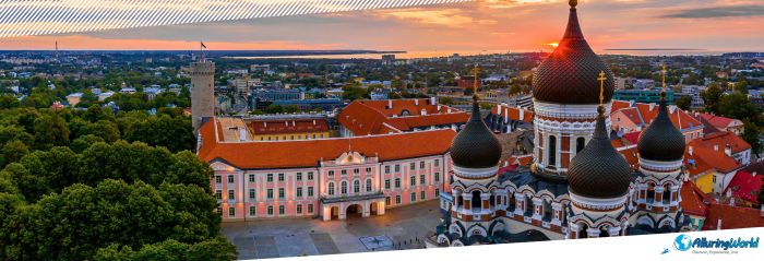 6 Tall Hermann Tower