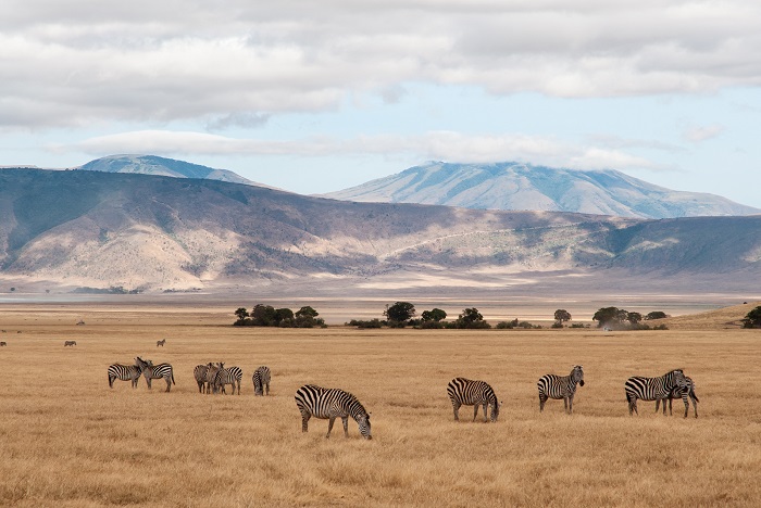 7 Ngorongoro