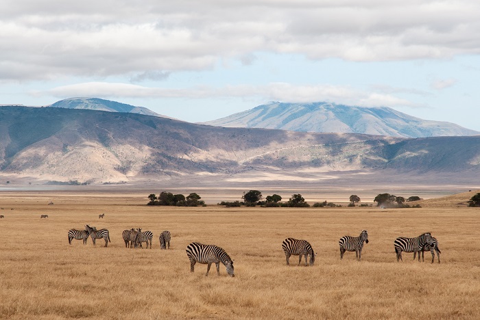 7 Ngorongoro