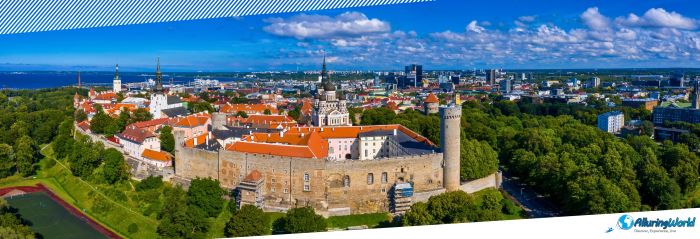 7 Tall Hermann Tower