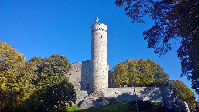 8 Hermann Tower