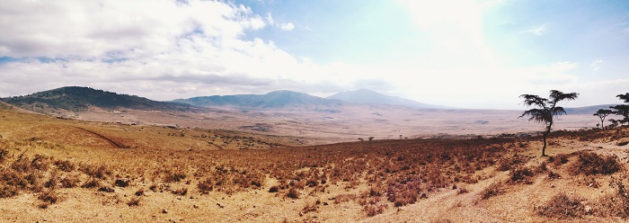 8 Ngorongoro