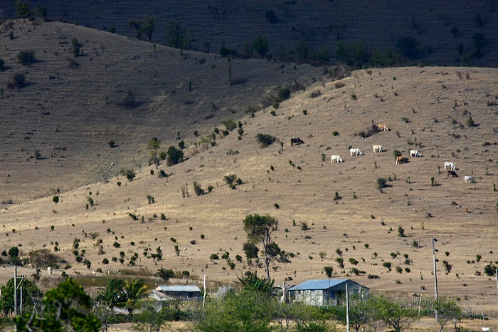 8 Sierra Maestra