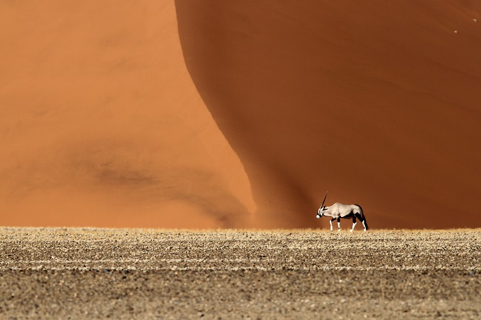 9 Namib Desert