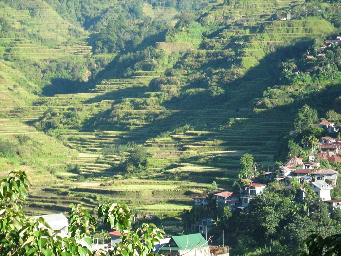 1 Banaue